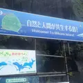 御蔵島の写真_267715