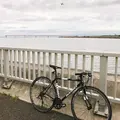 京浜島つばさ公園の写真_268602