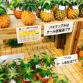 島の駅みやこの写真_268632