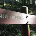 鷹ノ巣山の写真_268933