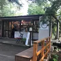 Hammock Cafe（ハンモックカフェ）の写真_269012