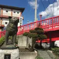 秋田犬会館の写真_269539