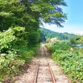 大館・小坂鉄道レールバイク（ＮＰＯ法人）の写真_269729