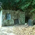 水俣市役所 総合体育館の写真_269961