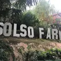 Solso Farmの写真_270832