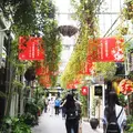 田子坊（Tianzifang）の写真_271127