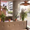 ブラジル館　四丁目店の写真_271535