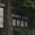 星のや軽井沢の写真_271633