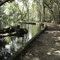 冷水の池の写真_271782