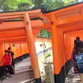 伏見稲荷大社の写真_271866