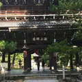 智恩寺の写真_272054