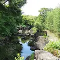 竹林園の写真_272126