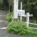 薩摩街道の写真_272477