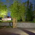 竹林園の写真_272493