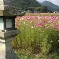 三田市の写真_273080
