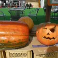 道の駅 あぐりーむ昭和の写真_273407