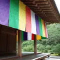 智積院の写真_273811