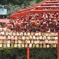 宮城縣護國神社の写真_273883