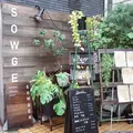 SOWGENの写真_273915