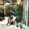 TRANSHIPの写真_274213