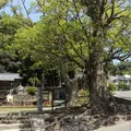 第六チェックポイントの写真_274692