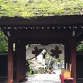 深大寺の写真_274872