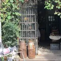 ラ・ヴィア・ラ・カンパーニュの写真_275036