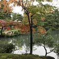 清水園【紅葉の名所】の写真_275064