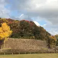 金沢城公園の写真_275306