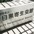 目黒寄生虫館の写真_275324