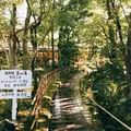 由布院玉の湯の写真_276002