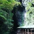 秋芳洞の写真_276316