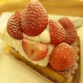 アローツリーカラスマの写真_276480