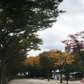 代々木公園の写真_277101
