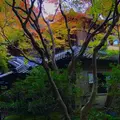 瑠璃光院の写真_277692