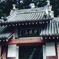 少林山達磨寺の写真_277723