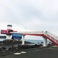 足摺海底館の写真_277752