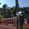 尾崎神社の写真_277799