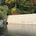 鈴木大拙館の写真_277801