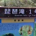 高尾山の写真_278096