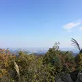 高尾山の写真_278114