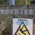 高尾山の写真_278119