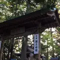 高尾山の写真_278121