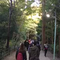 高尾山の写真_278122