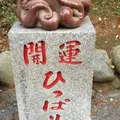 たこ杉の写真_278123