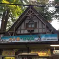 高尾山の写真_278124