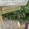 高尾山の写真_278125