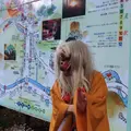 高尾山の写真_278139