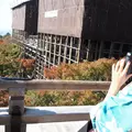 清水寺の写真_278370