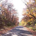 地獄谷遊歩道の写真_278727